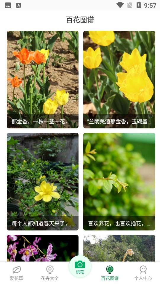 花草识别神器软件1.1.8 最新版 v6.3.2