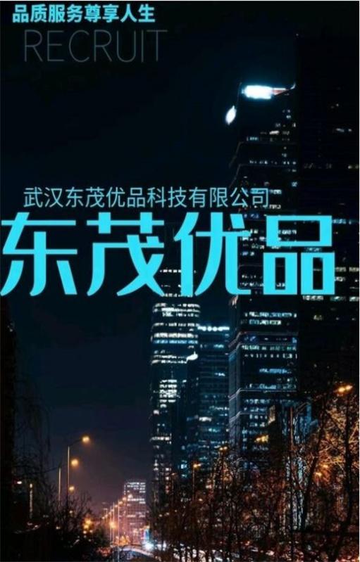 东茂优品排线首码