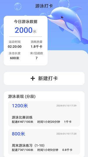 海豚上网