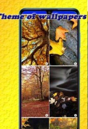 甜美壁纸和背景