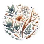 中医宝典中药词典appv1.0 安卓版