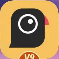 谷歌相机agc电影版本2024中文通用版