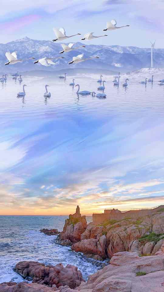 直播荣成手机客户端0.0.79 安卓版 v4.3.4