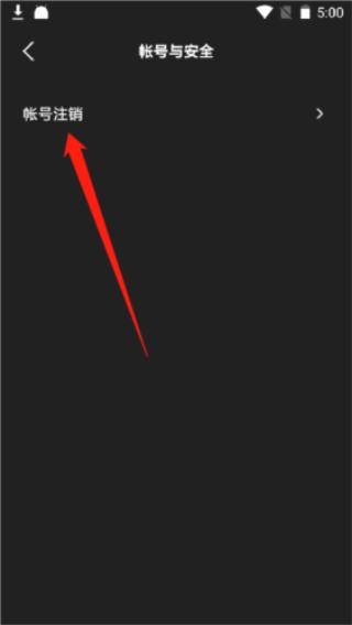 路斯特drivemanager