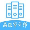 高级审计师丰题库