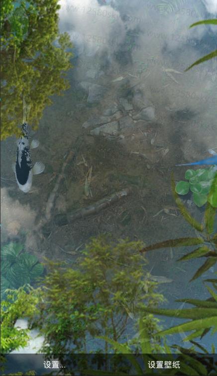 3d鱼池动态壁纸中文免费版v2.01 安卓最新版 v4.2.4