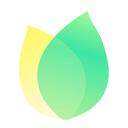 飞火动态壁纸安卓版