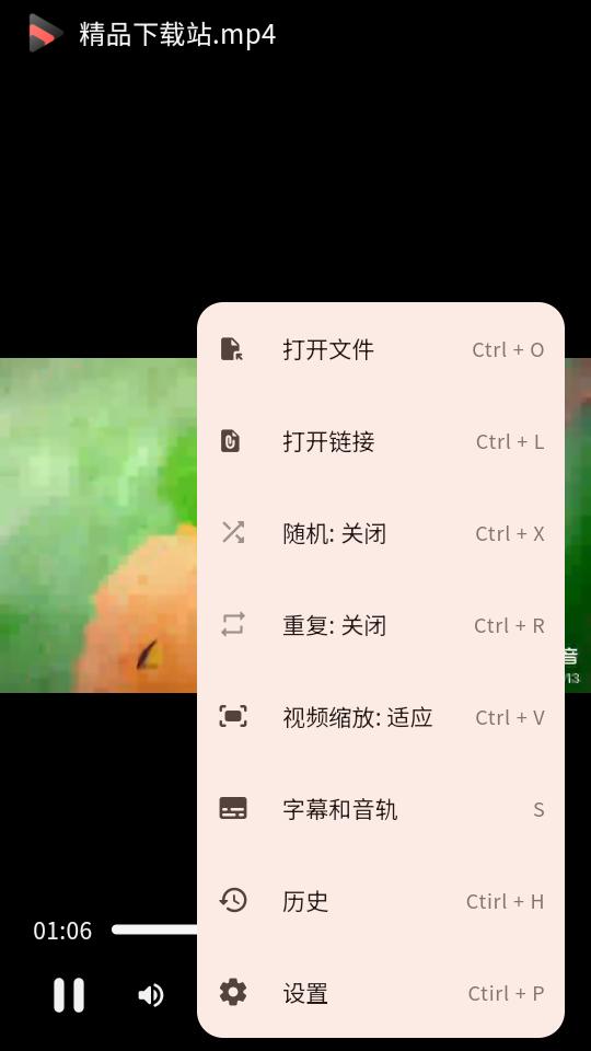 轻量级视频播放器Iris手机版v1.3.3 安卓最新版 v4.0.3