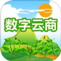 数字云商
