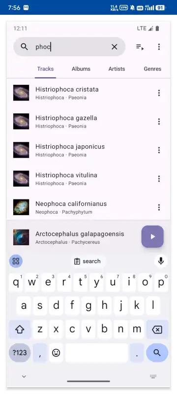 Phocid本地音乐播放器v20250208 最新版 v3.3.4