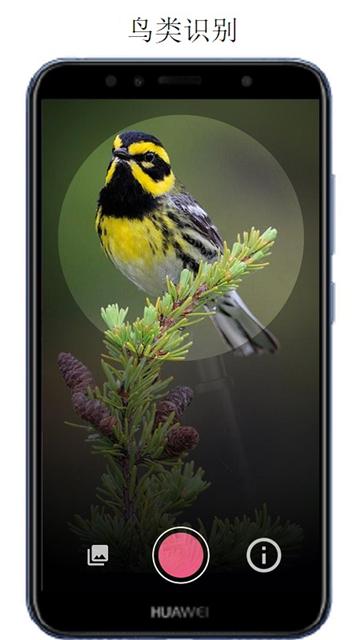 万物识别扫一扫