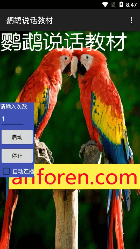 鹦鹉说话教材软件v1.0.8 安卓免费版 v5.4.3