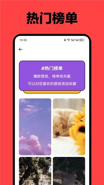 红楼壁纸大全app v3.3.3
