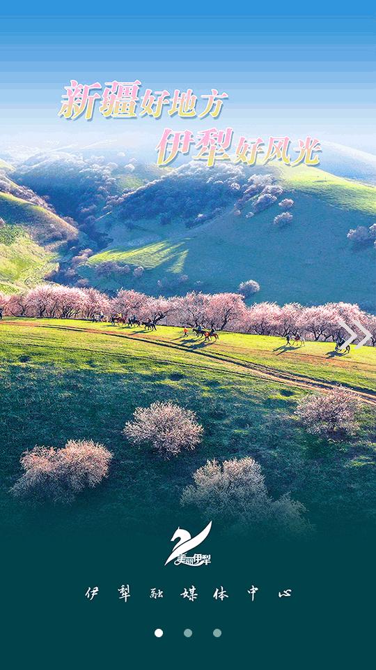 美丽伊犁app官方版v1.0.0 安卓正版 v4.1.3