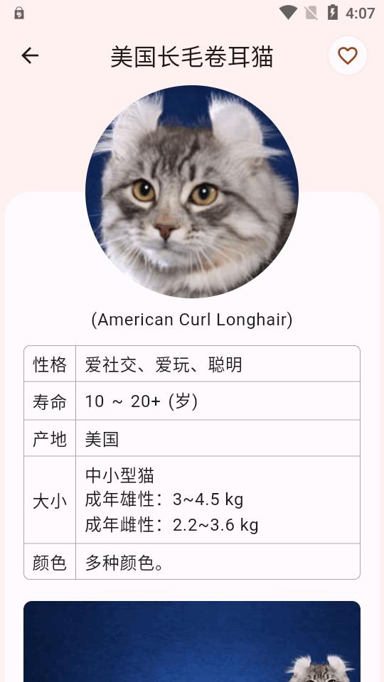 猫品种大全app最新版v1.0.6 手机免费版 v6.2.3