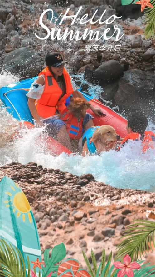 爱宠游app1.3.3 安卓最新版 v5.3.4