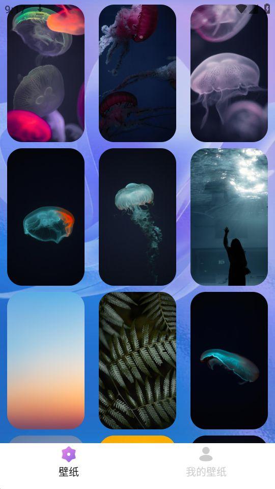 绘影壁纸app官方安卓版1.0.1.101最新版 v3.0.2