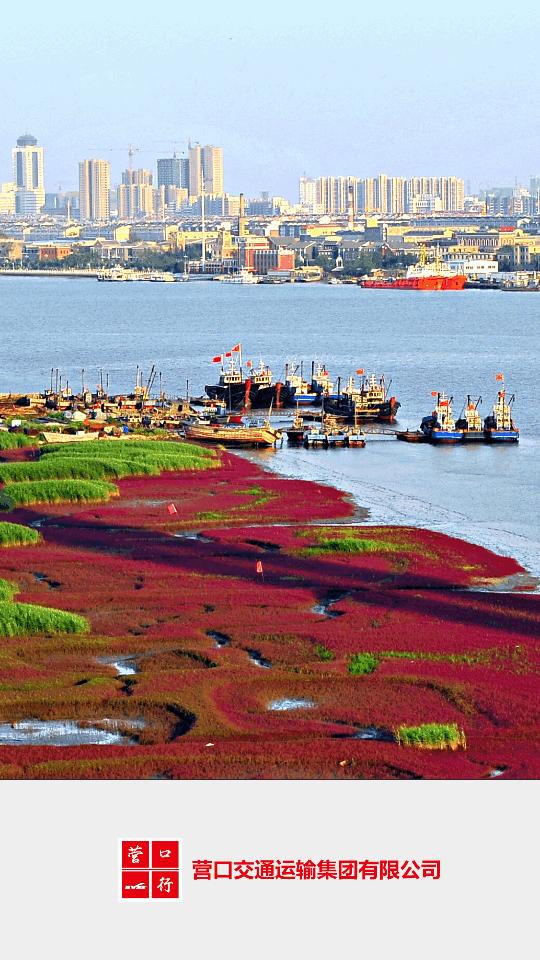 营口行app下载安装v2.2.0安卓手机版 v3.2.2