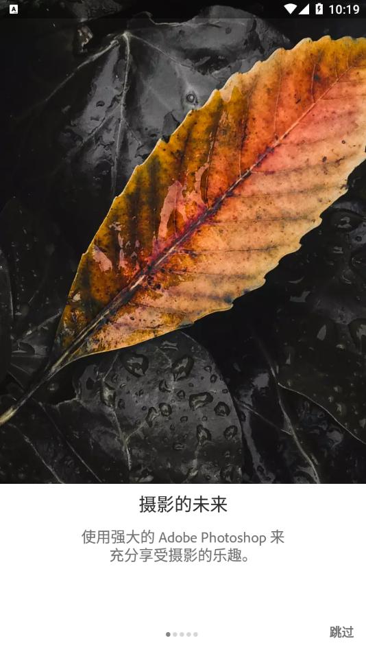 lightroom手机安卓版