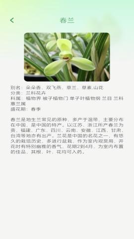 妙看四季免费