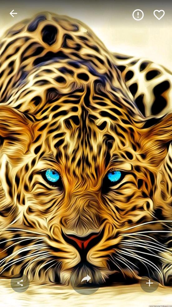 4k壁纸高级版(4K Wallpapers)v4.5 安卓最新版 v3.0.1