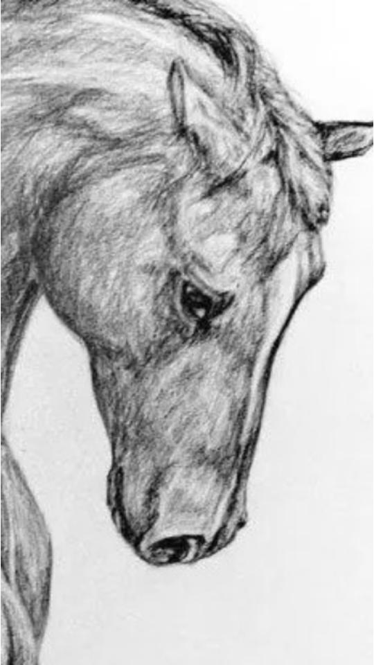 prompt ai绘画安卓最新版v1.2 手机版 v3.4.4