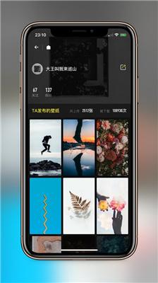 纸塘壁纸app