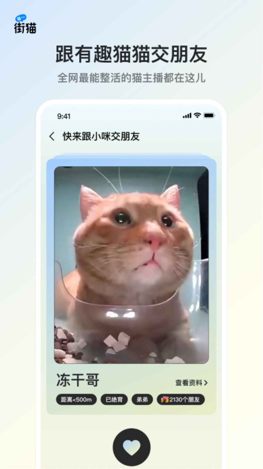 街猫app官方版3.0.8 手机版 v3.2.2