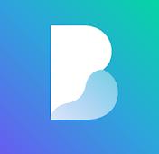 Borealis图标包v2.163.0 最新版