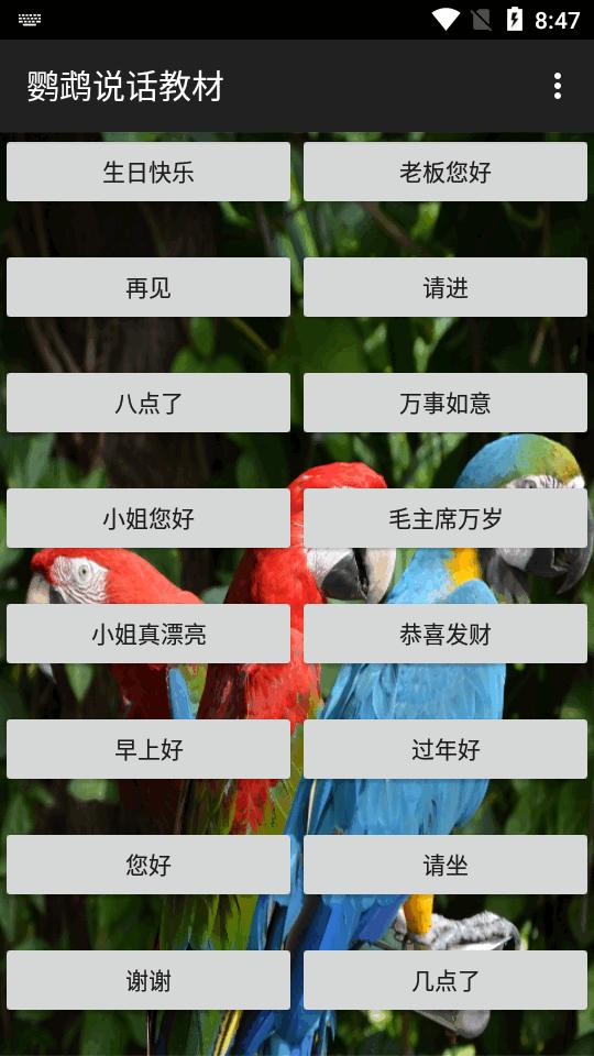 鹦鹉说话教材软件v1.0.8 安卓免费版 v5.4.3